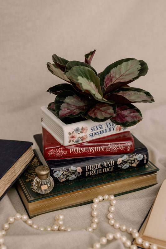 Stacked Books Planter, Jane Austen